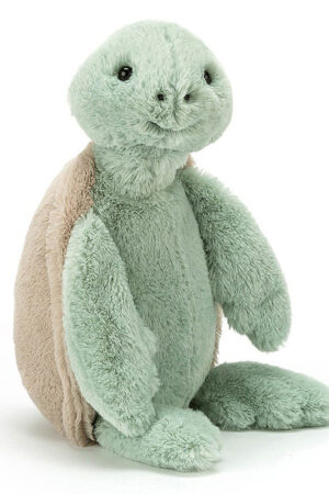 Bashful Turtle Original (Medium)