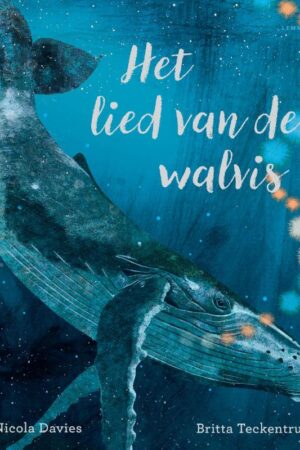 Het lied van de walvis