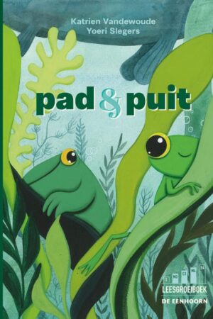 Pad en Puit