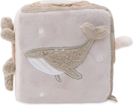 Activity Cube Deepsea