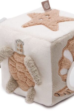 Activity Cube Deepsea